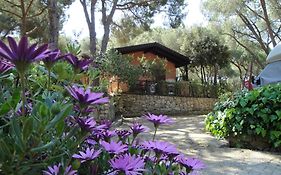 Camping Lacona Pineta