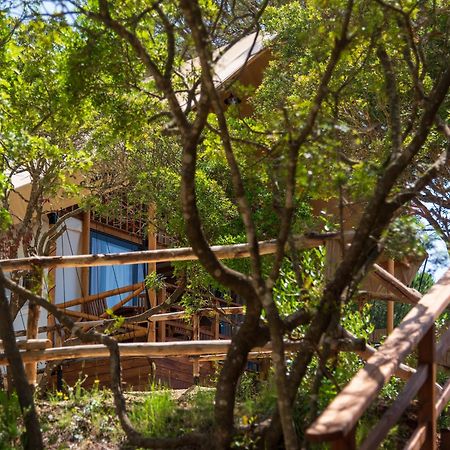 Camping Lacona Pineta Capoliveri  Esterno foto