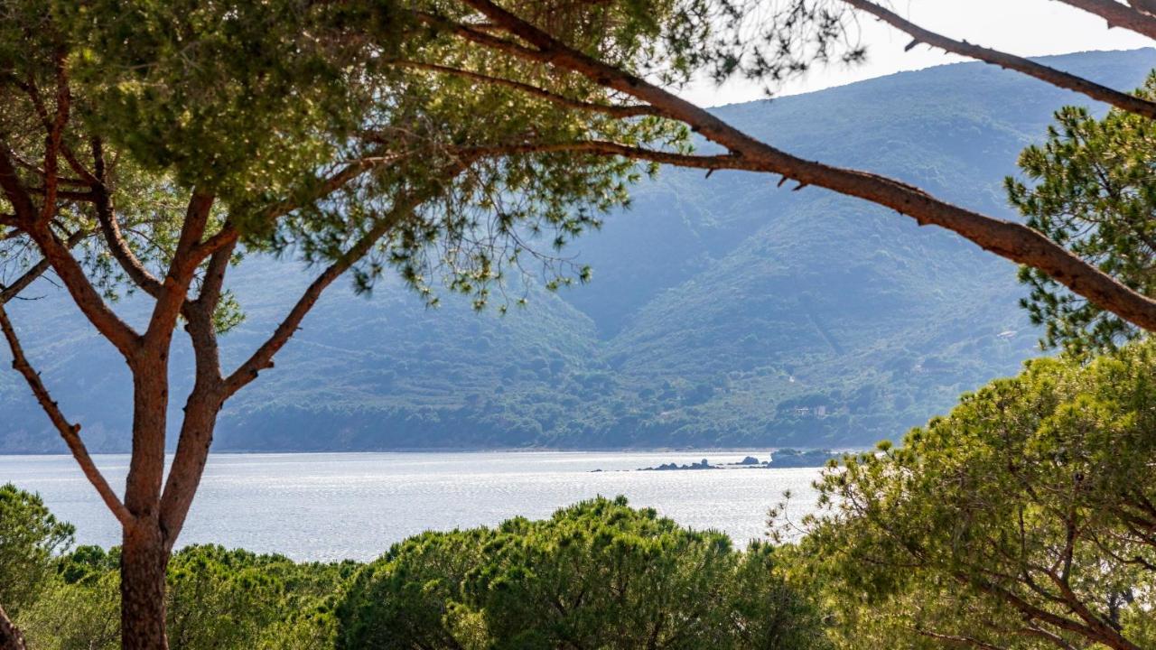 Camping Lacona Pineta Capoliveri  Esterno foto