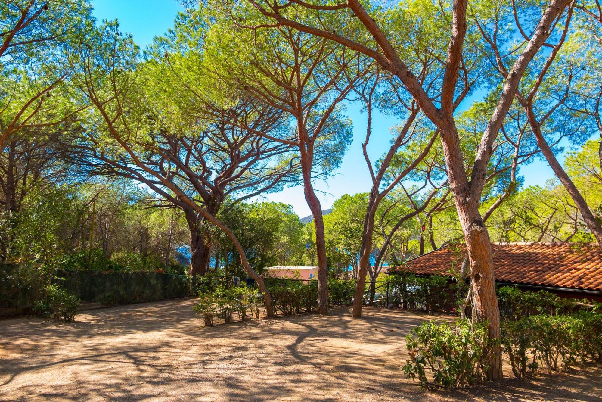 Camping Lacona Pineta Capoliveri  Esterno foto