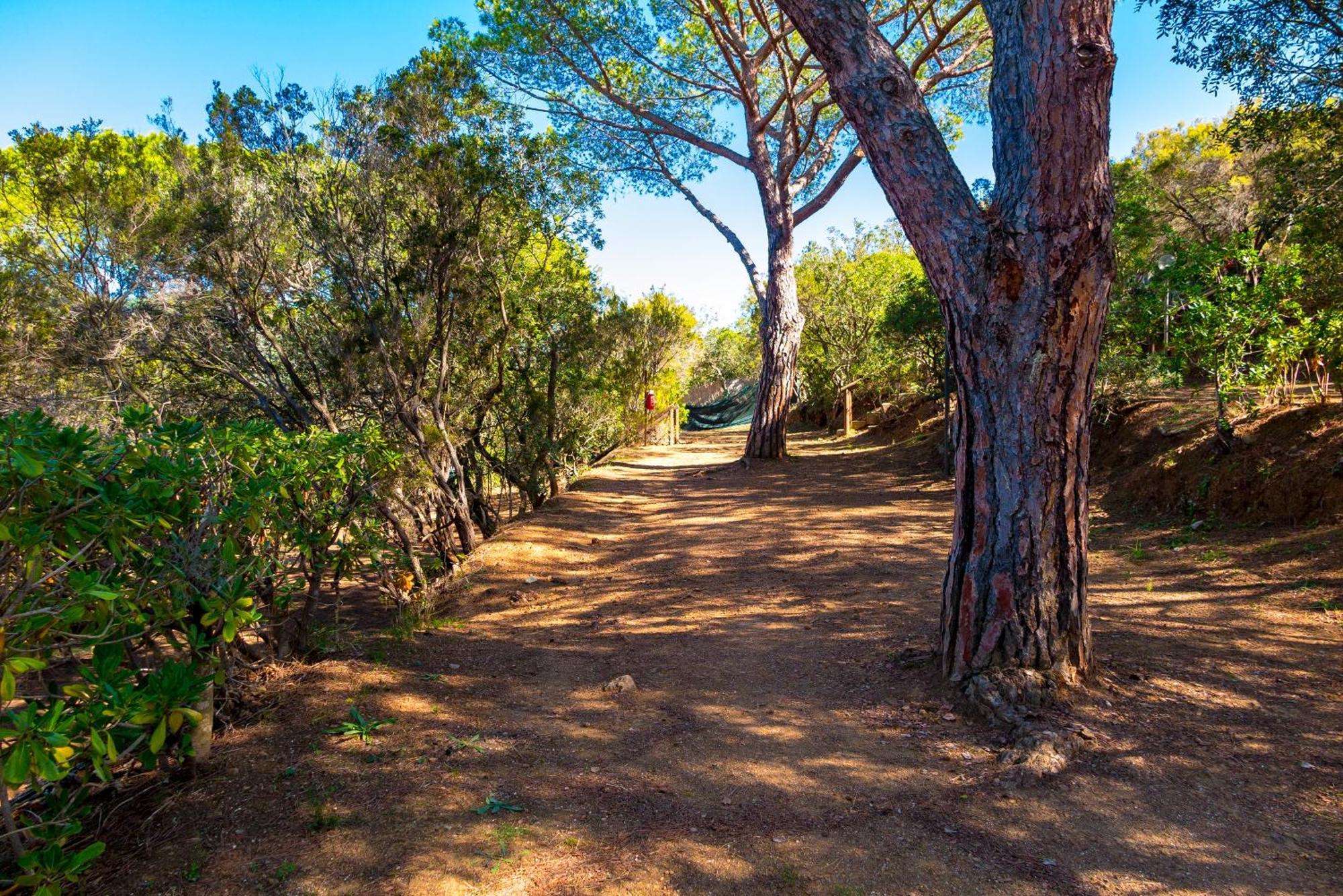 Camping Lacona Pineta Capoliveri  Esterno foto