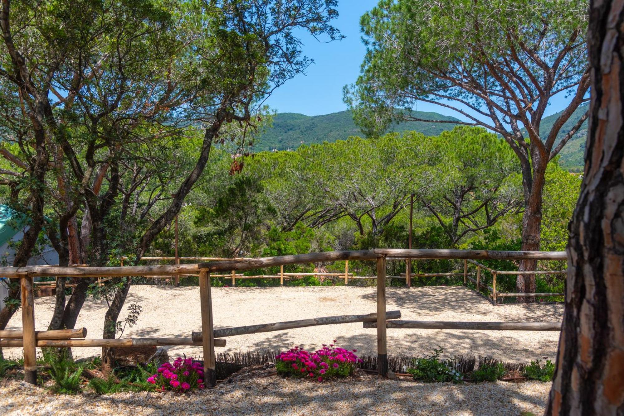 Camping Lacona Pineta Capoliveri  Esterno foto